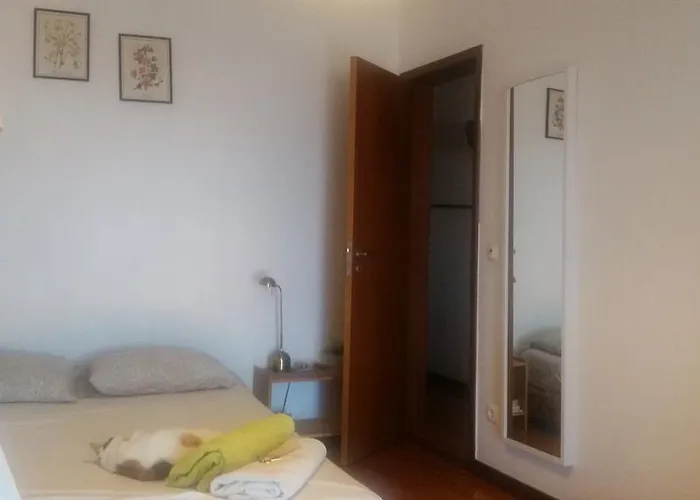 Sofia\'S House
